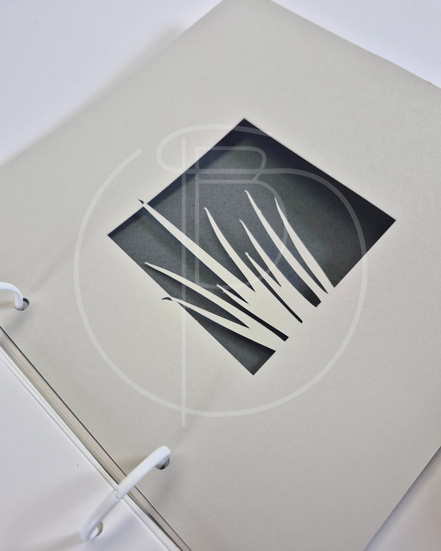 Gartenzeit – Dein persönlicher Begleiter durchs Gartenjahr