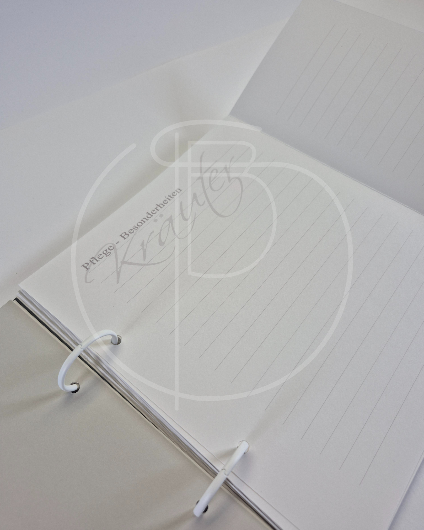 Gartenzeit – Dein persönlicher Begleiter durchs Gartenjahr