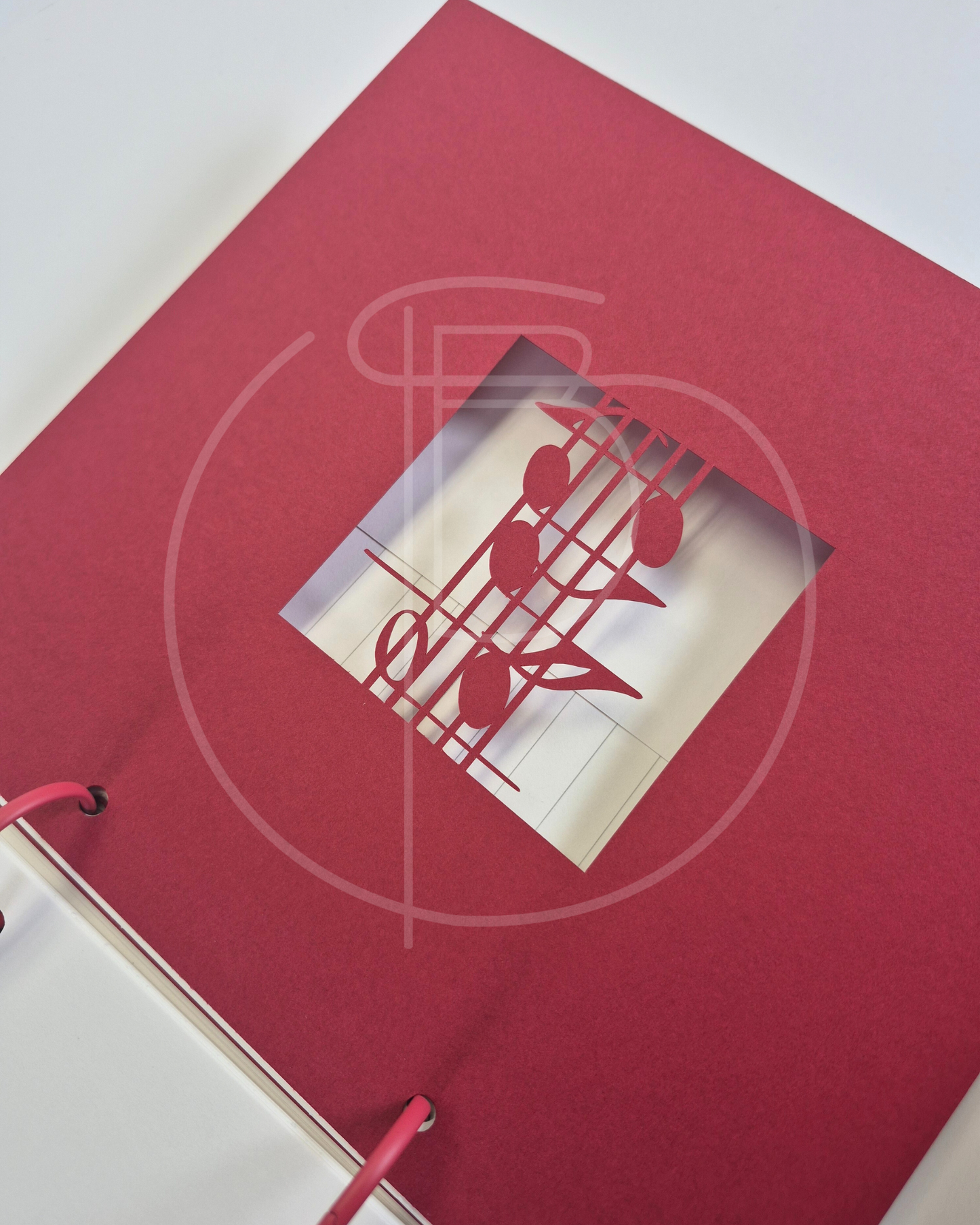 Taktgefühl – Erinnerungsbuch für Konzerterlebnisse